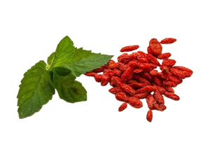 Berberina