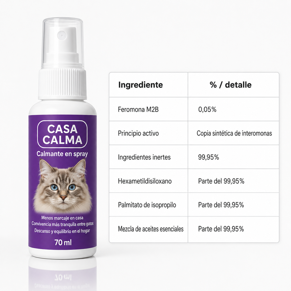 CasaCalma