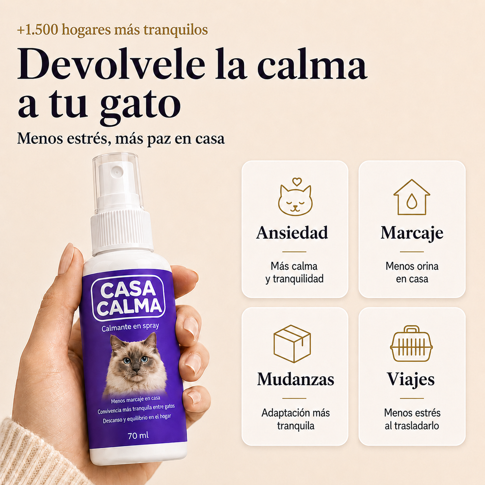 CasaCalma
